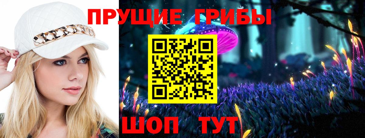 Псилоцибиновые грибы GOLDEN TEACHER  Псилоцибиновые грибы Cubensis  Вход с VPN  купить наркоту  Сосновый Бор 